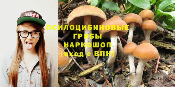 дмт Бугульма
