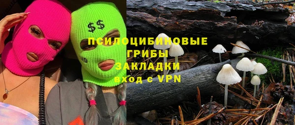 трава Бородино