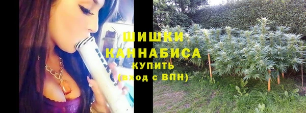 прущая мука Бронницы
