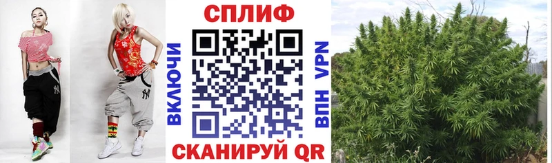 Бошки Шишки семена мега ССЫЛКА Таганрог как найти закладки